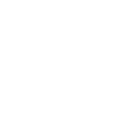 Car Transportation